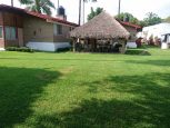 rento jardin de eventos